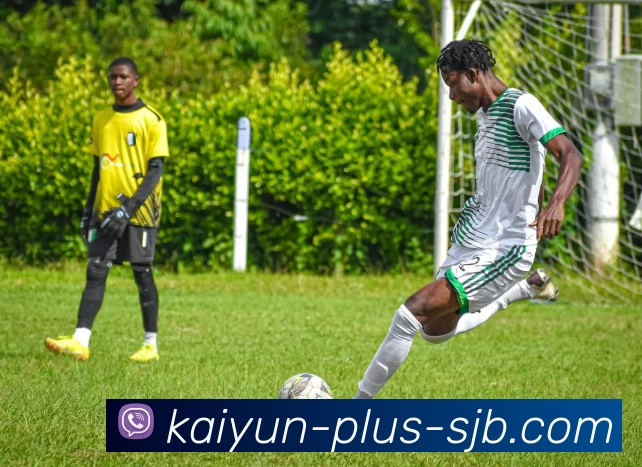 开云 Plus，开云 Plus，开云官网，开云APP，开云增值服务APP 体育赛事宣传图